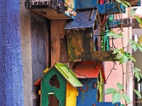 pa224826 1  Hunderwasserhaus Oktober 2019 : Hundertwasser, Magdeburg