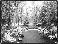 Englischer Garten 03  Winter im Englischen Garten : Muenchen, Winter, Englischer Garten, Spaziergang