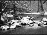 Englischer Garten 05  Winter im Englischen Garten : Muenchen, Winter, Englischer Garten, Spaziergang