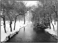 Englischer Garten 06  Winter im Englischen Garten : Muenchen, Winter, Englischer Garten, Spaziergang