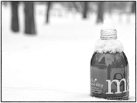 Englischer Garten 08  Winter im Englischen Garten : Muenchen, Winter, Englischer Garten, Spaziergang