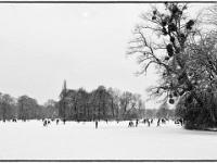 Englischer Garten 11  Winter im Englischen Garten : Muenchen, Winter, Englischer Garten, Spaziergang