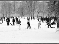 Englischer Garten 12  Winter im Englischen Garten : Muenchen, Winter, Englischer Garten, Spaziergang