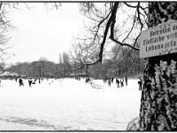 Englischer Garten 13  Winter im Englischen Garten : Muenchen, Winter, Englischer Garten, Spaziergang