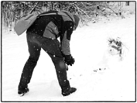 Englischer Garten 15  Winter im Englischen Garten : Muenchen, Winter, Englischer Garten, Spaziergang