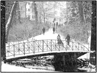 Englischer Garten 18  Winter im Englischen Garten : Muenchen, Winter, Englischer Garten, Spaziergang