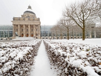 Hofgarten 01  Winter im Englischen Garten : Muenchen, Winter, Englischer Garten, Spaziergang