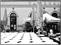 Tambosi 01  Winter im Englischen Garten : Muenchen, Winter, Englischer Garten, Spaziergang