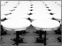 Tambosi 02  Winter im Englischen Garten : Muenchen, Winter, Englischer Garten, Spaziergang