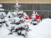 Nymphenburger Park 03  Schlosspark Nymphenburg_141231