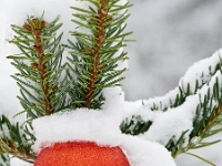 Nymphenburger Park 04  Schlosspark Nymphenburg_141231