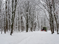 Nymphenburger Park 05  Schlosspark Nymphenburg_141231