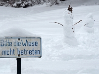 Nymphenburger Park 06  Schlosspark Nymphenburg_141231