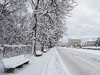 Nymphenburger Park 07  Schlosspark Nymphenburg : München, Nymphenburg