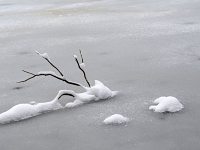 Nymphenburger Park 11  Schlosspark Nymphenburg_141231