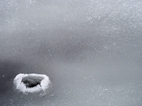 Nymphenburger Park 12  Schlosspark Nymphenburg_141231