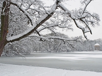 Nymphenburger Park 15  Schlosspark Nymphenburg_141231