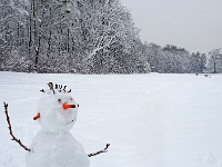 Nymphenburger Park 16  Schlosspark Nymphenburg_141231