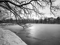 Nymphenburger Park 20  Schlosspark Nymphenburg : München, Nymphenburg