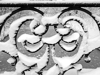 Nymphenburger Park 21  Schlosspark Nymphenburg : München, Nymphenburg