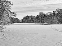 Nymphenburger Park 22