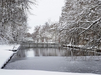 Nymphenburger Park 24  Schlosspark Nymphenburg : München, Nymphenburg