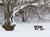 Nymphenburger Park 26  Schlosspark Nymphenburg : München, Nymphenburg