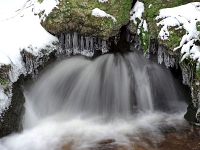 Nymphenburger Park 28  Schlosspark Nymphenburg : München, Nymphenburg