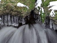 Nymphenburger Park 29  Schlosspark Nymphenburg : München, Nymphenburg