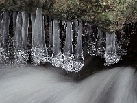 Nymphenburger Park 30  Schlosspark Nymphenburg : München, Nymphenburg