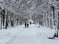 Nymphenburger Park 31  Schlosspark Nymphenburg : München, Nymphenburg