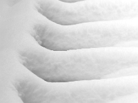 Nymphenburger Park 33  Schlosspark Nymphenburg : München, Nymphenburg