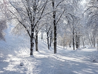 Westpark 02  Westpark im Winter : München, Westpark, Winter