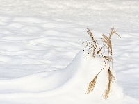 Westpark 05  Westpark im Winter : München, Westpark, Winter