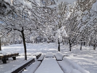 Westpark 06  Westpark im Winter : München, Westpark, Winter