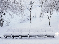 Westpark 07  Westpark im Winter : München, Westpark, Winter