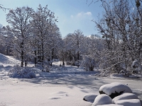 Westpark 09  Westpark im Winter : München, Westpark, Winter