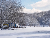 Westpark 11  Westpark im Winter : München, Westpark, Winter