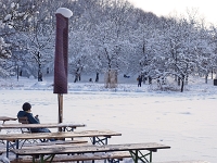 Westpark 12  Westpark im Winter : München, Westpark, Winter