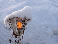 Westpark 13  Westpark im Winter : München, Westpark, Winter