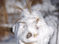 Westpark 18  Westpark im Winter : München, Westpark, Winter