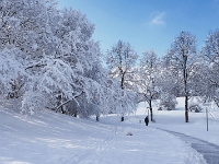 Westpark 19  Westpark im Winter : München, Westpark, Winter