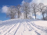 Westpark 21  Westpark im Winter : München, Westpark, Winter