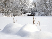 Westpark 22  Westpark im Winter : München, Westpark, Winter