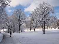 p2045028 1  Westpark im Winter : München, Westpark, Winter