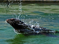 zoo 03  Tierpark Hellabrunn