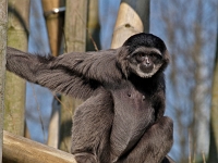 zoo 04  Tierpark Hellabrunn