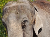 zoo 29  Tierpark Hellabrunn