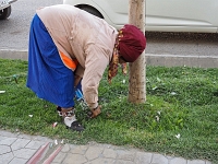 Spaziergang in Samarkand  Usbekistan 2018