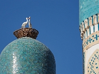 Buchara  Usbekistan 2018